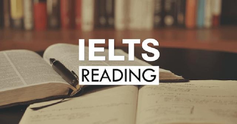 Mẹo làm dạng bài IELTS Reading “Which paragraph contains the following information”